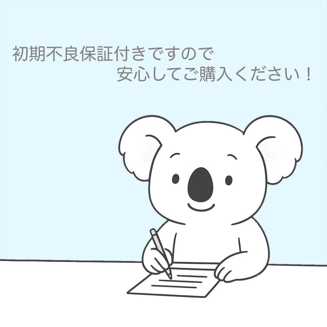 Canon純正 55-250mm 望遠レンズ 極美品 a5232