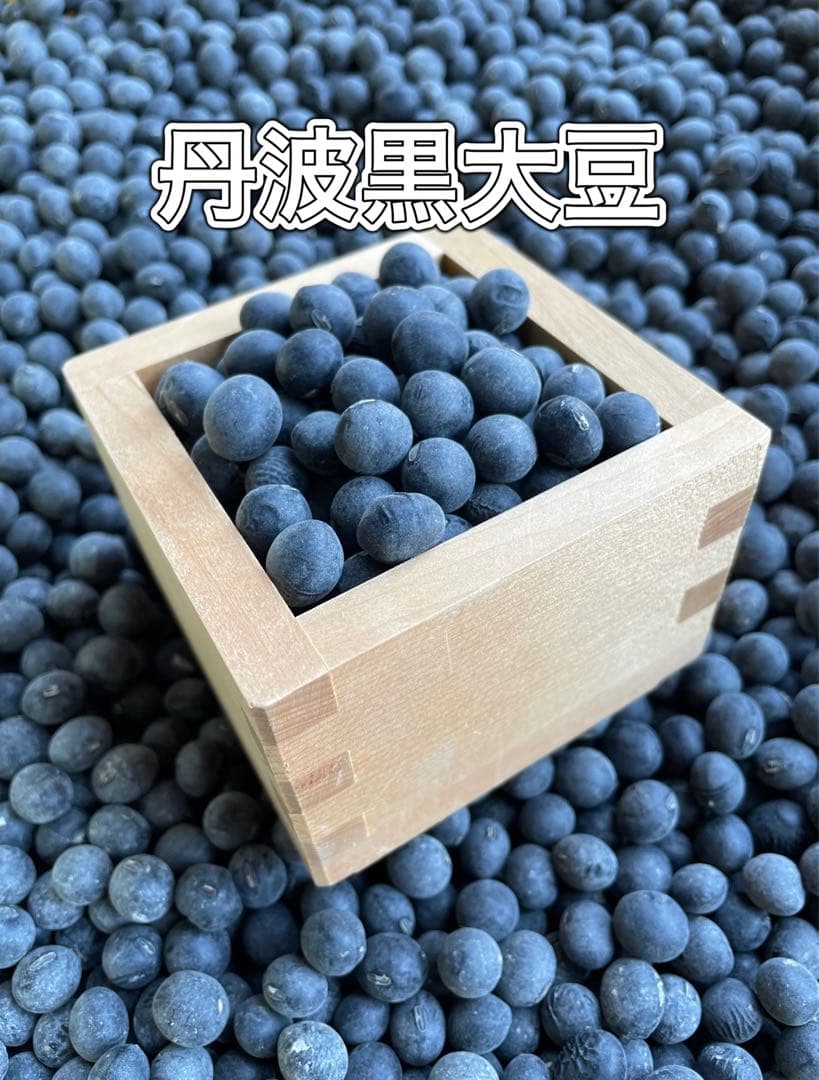 チップさま専用　丹波黒大豆　2L3キロ