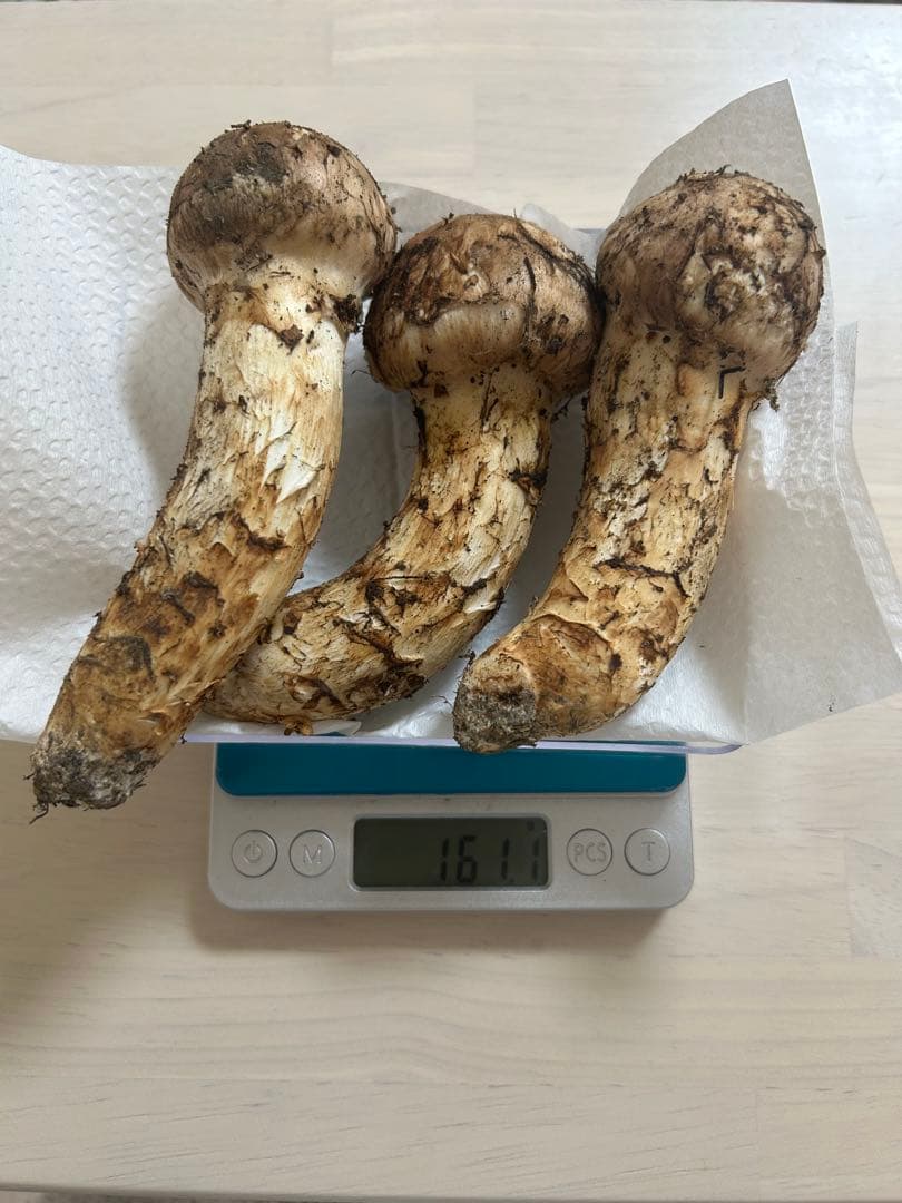 岩手県産 松茸 3個 161.1g