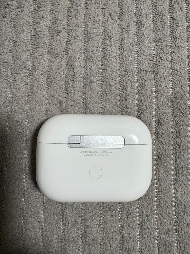 AirPods Pro 本体 充電ケース付き　ライトニング端子