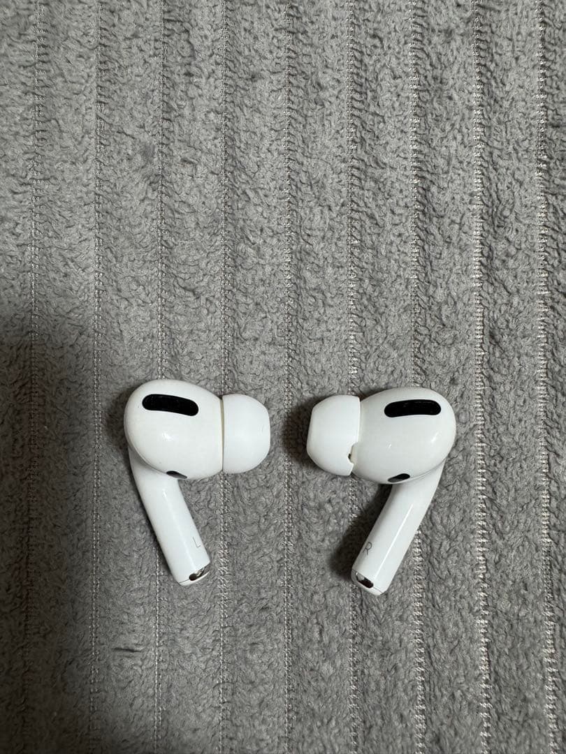 AirPods Pro 本体 充電ケース付き　ライトニング端子
