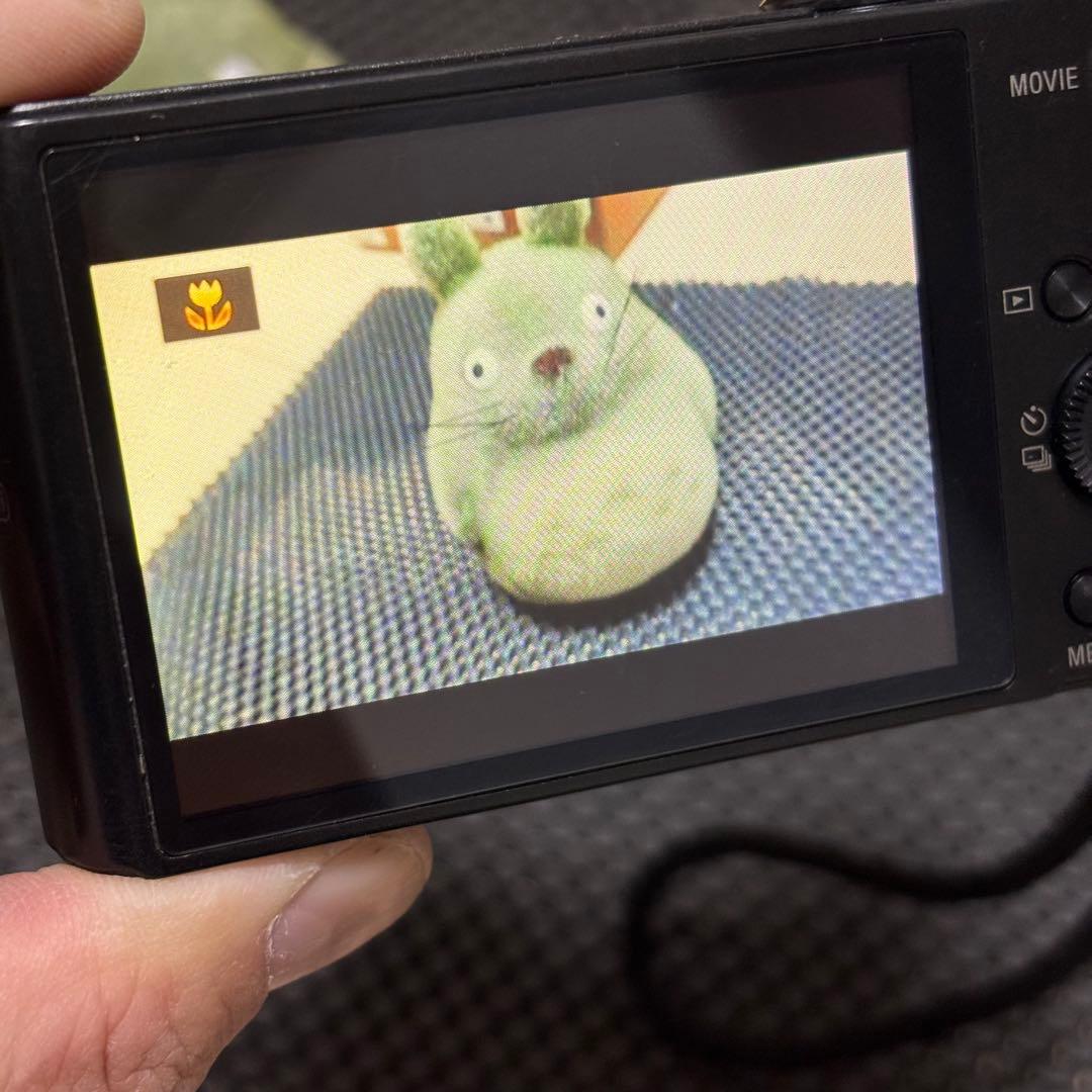 デジタルカメラ SONY DSC-WX300 撮影確認済み