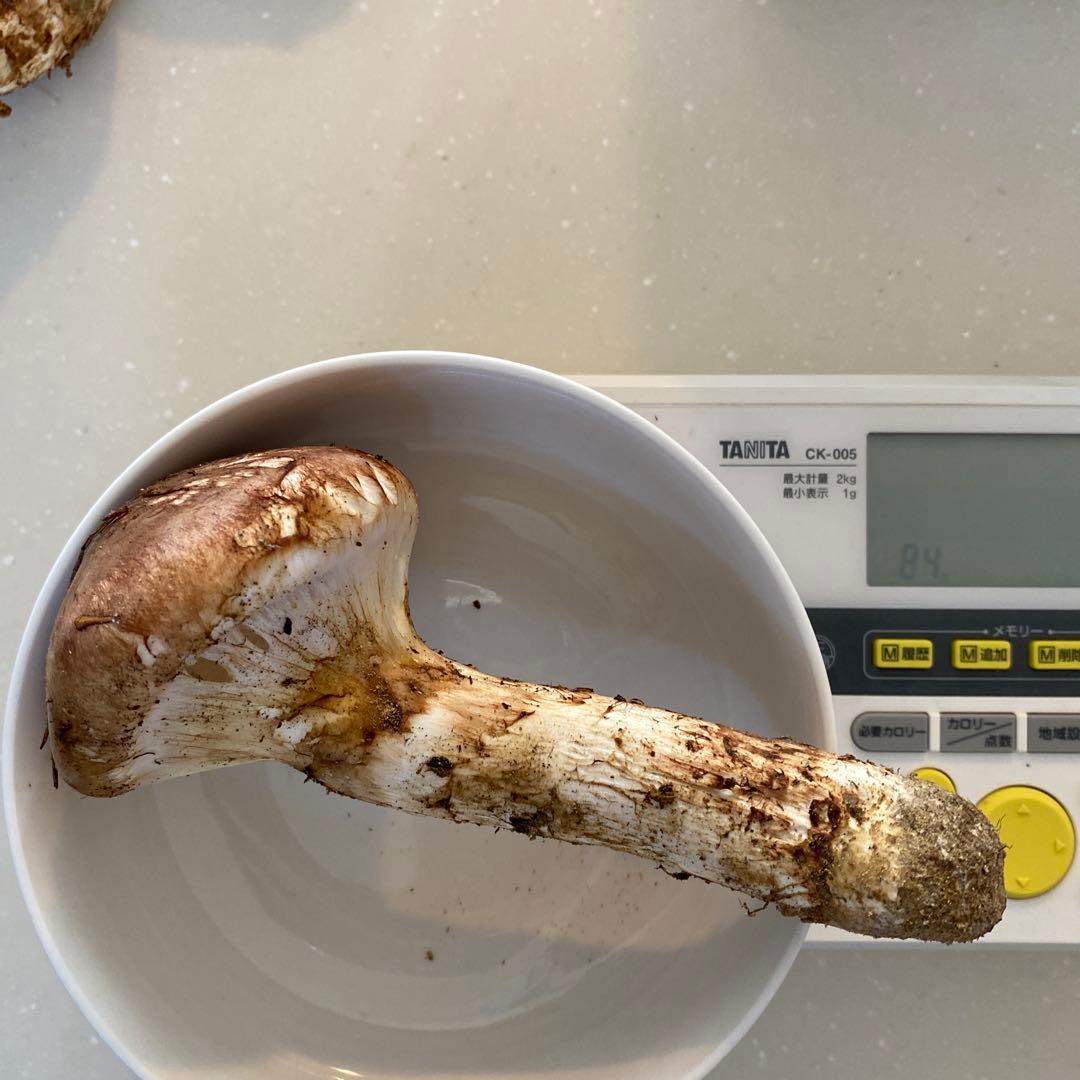 長野県 豊丘村産　松茸　292g 一部虫食い損傷有り