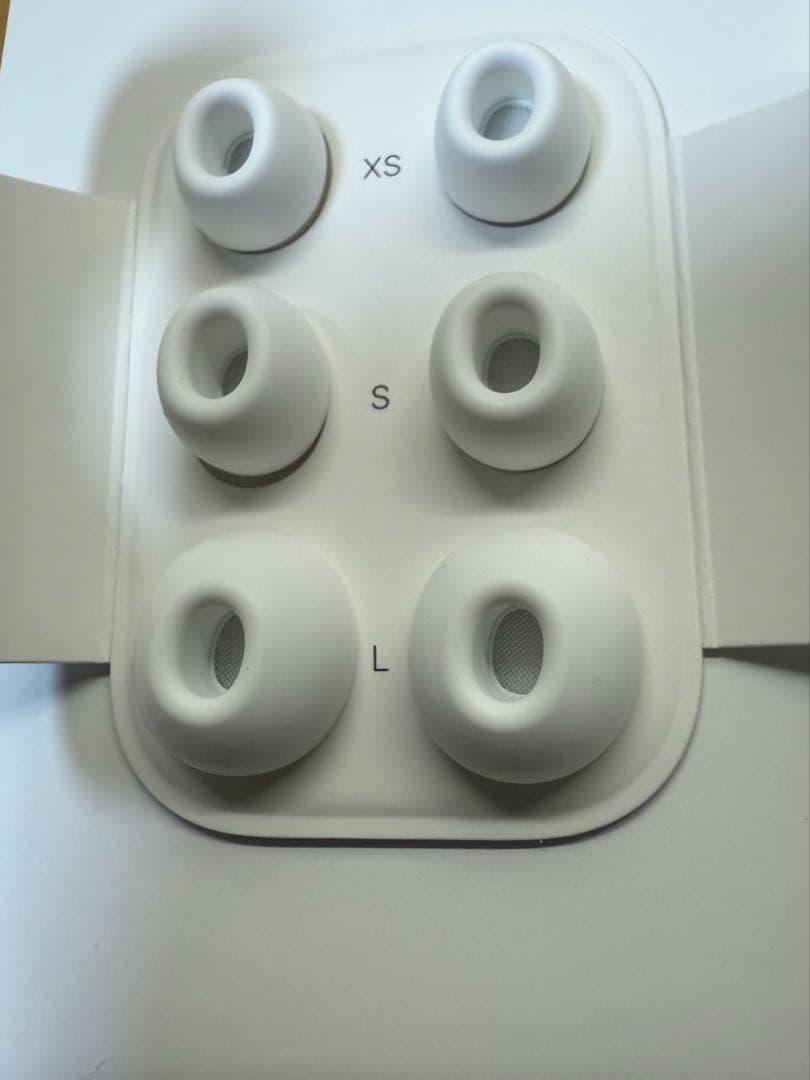 Apple AirPods Pro 2 タイプC イヤホン　ケース付き