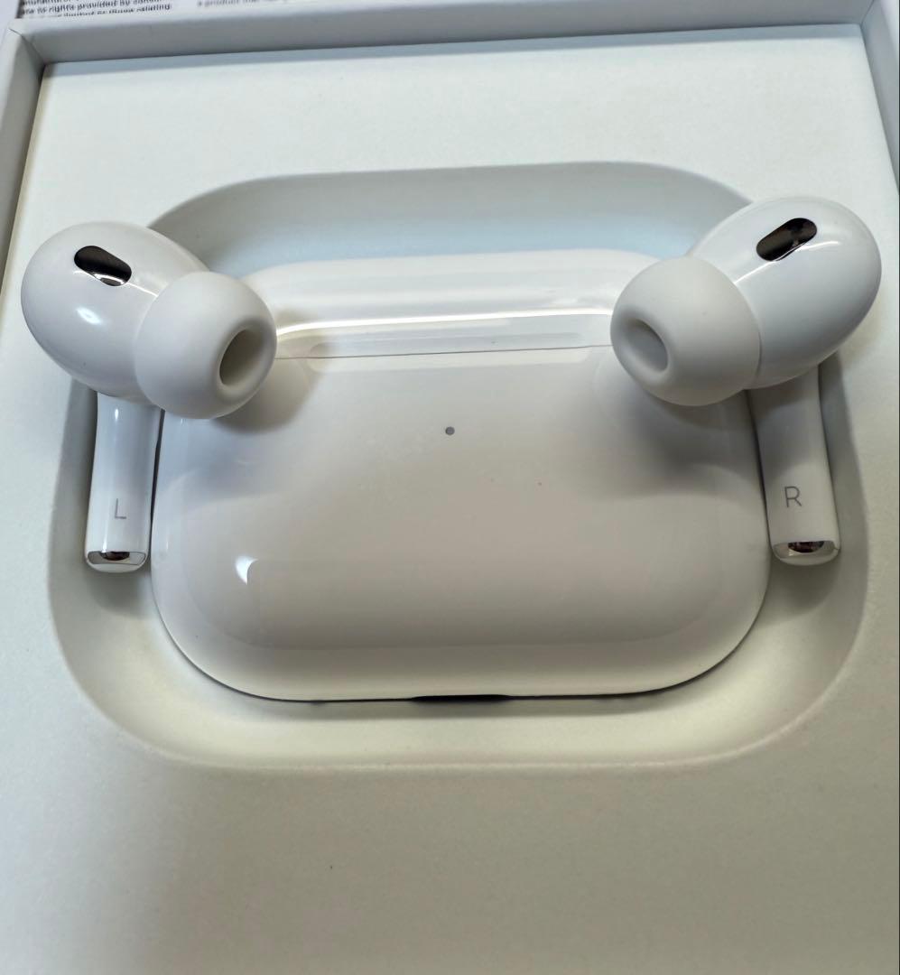 Apple AirPods Pro 2 タイプC イヤホン　ケース付き