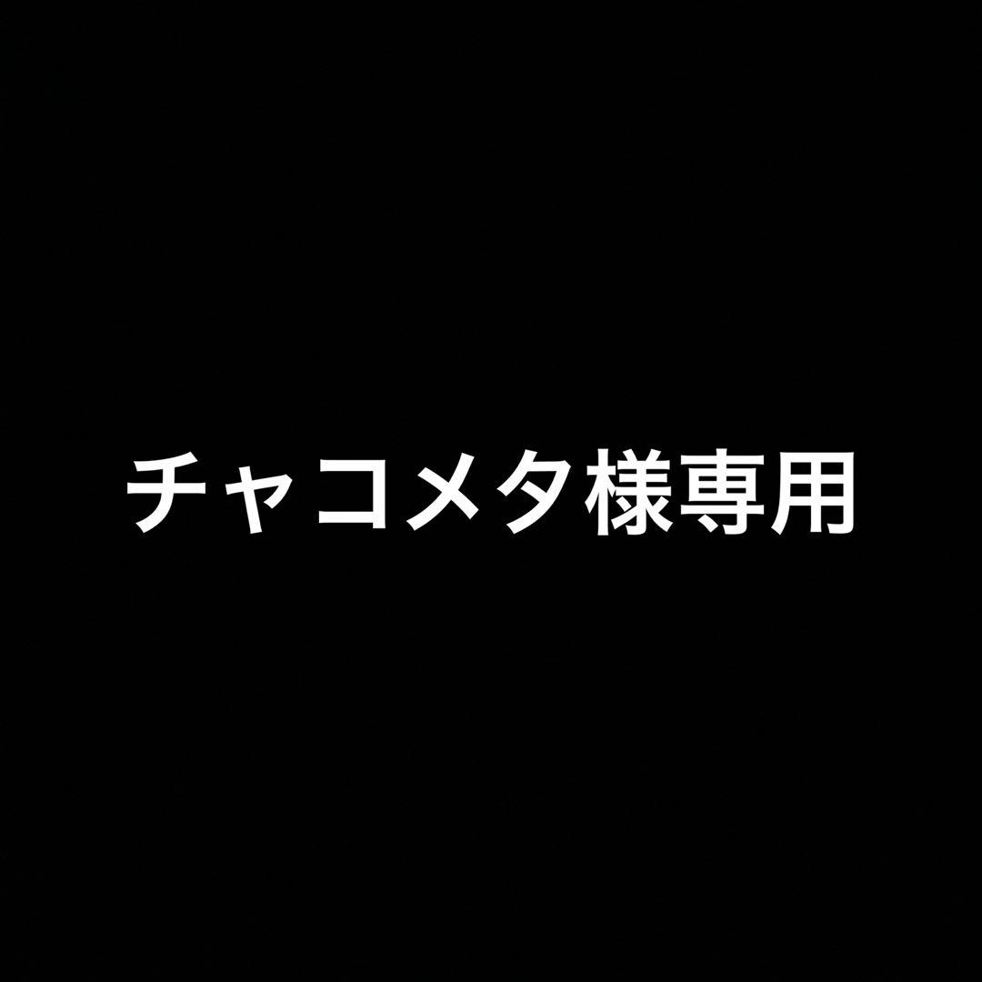 チャコメタ　セイラ・マス　RAHDX エクセレントモデル　メガハウス