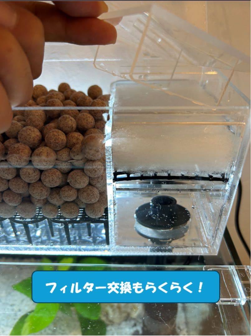 上部濾過槽＋ガラス水槽セット　アクアリウム水槽アクアポニックス仕様上部フィルター