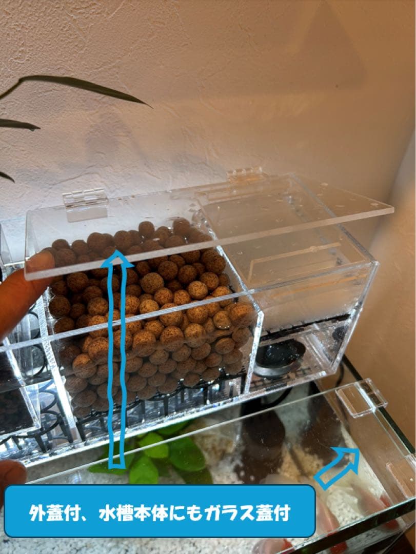 上部濾過槽＋ガラス水槽セット　アクアリウム水槽アクアポニックス仕様上部フィルター