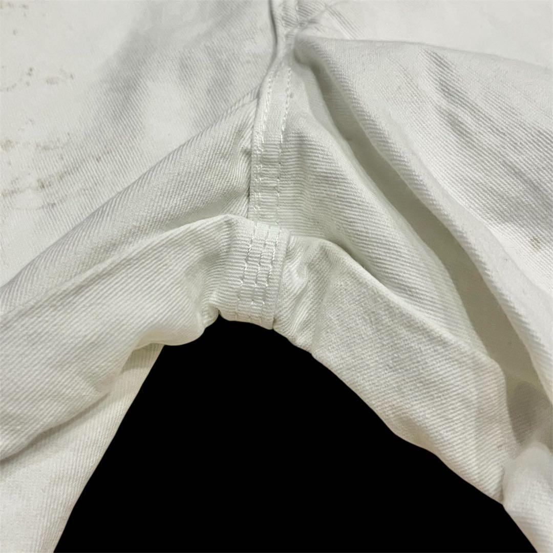 Dickies SHRWIN WILLIAMS ペンキ ペインター パンツW32