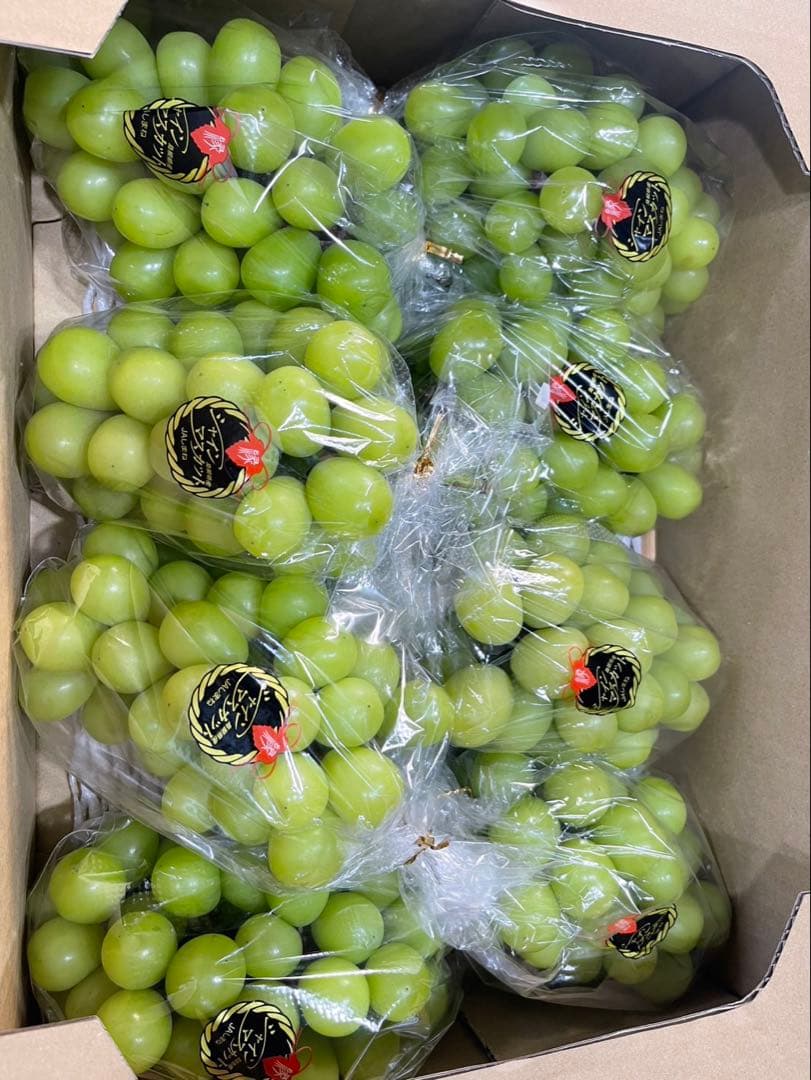 ④【島根県産】シャインマスカット約5キロ(8房)