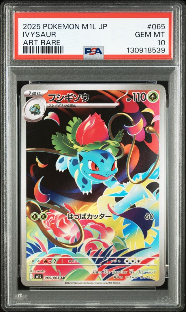 PSA10 3連番 フシギダネAR フシギソウAR メガフシギバナ SAR ②