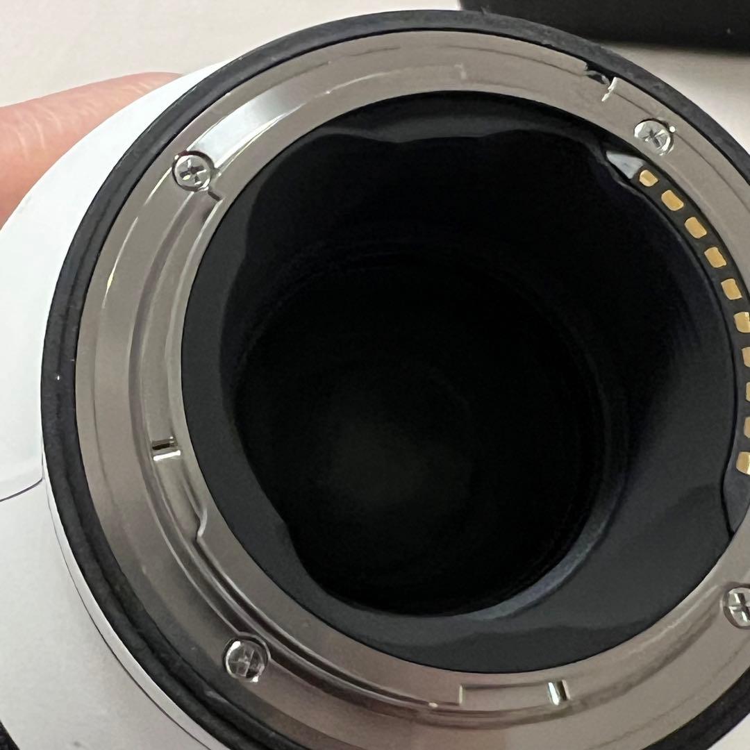 SIGMA Sports 70-200mm F2.8 DG DN OSソニーE