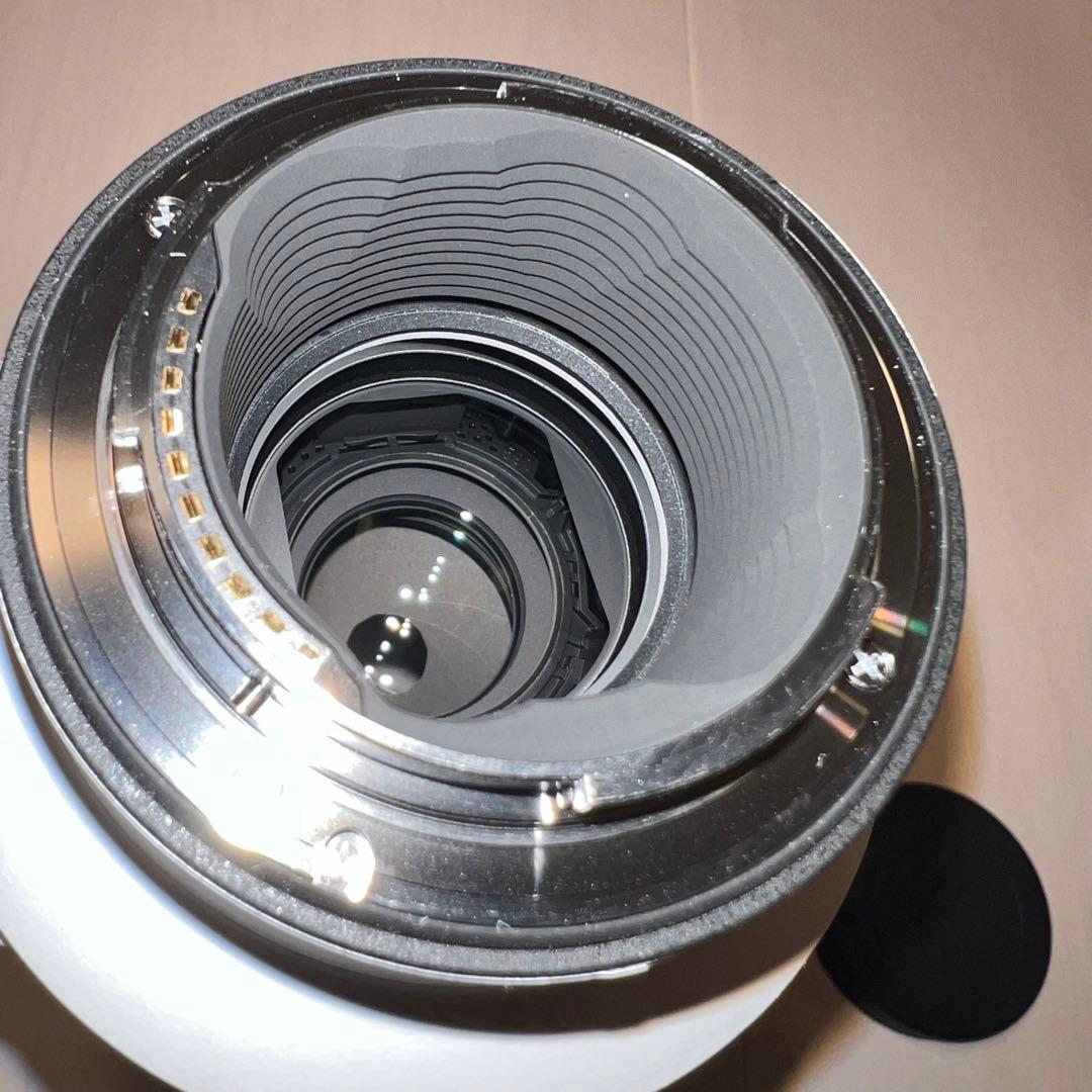 SIGMA Sports 70-200mm F2.8 DG DN OSソニーE