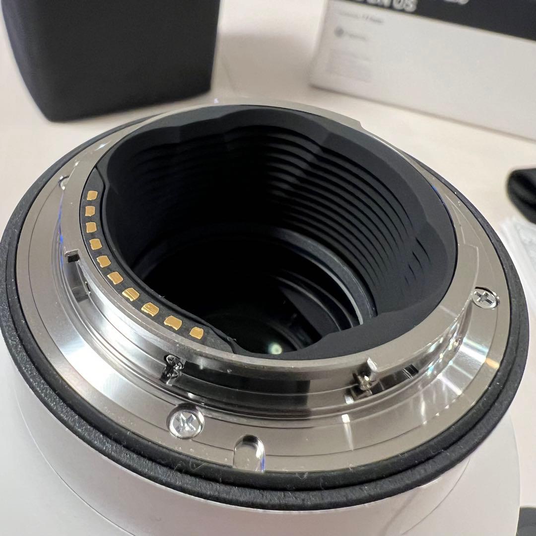 SIGMA Sports 70-200mm F2.8 DG DN OSソニーE