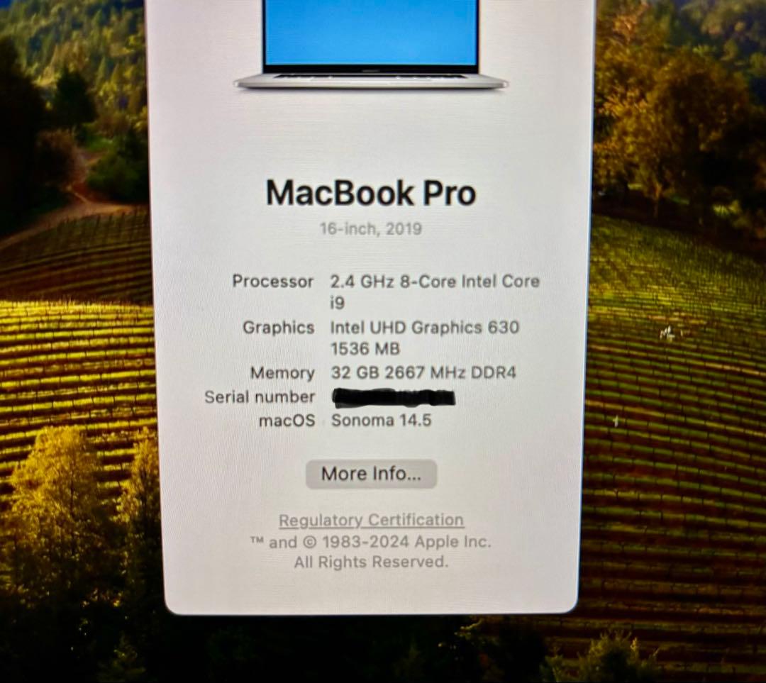 Mac Book pro 16インチ 2019 i9 32GB 2TB US配列