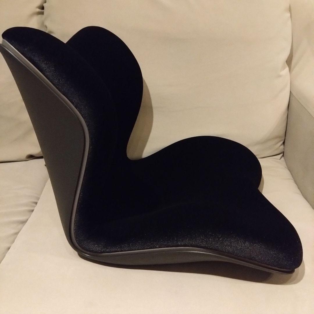 【美品】Style PREMIUM DX スタイルプレミアムデラックス　ブラック