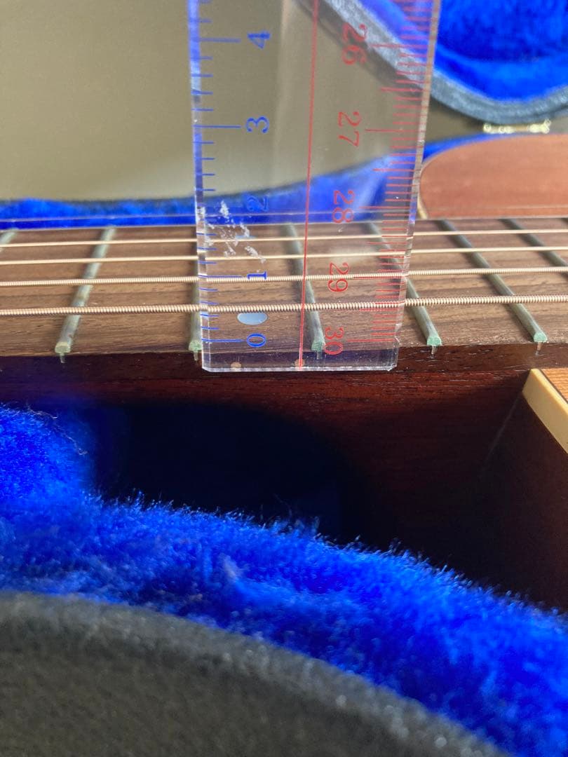 sea gull S6+FOLK MEQ エレアコ エレアコ 純正ハードケース付