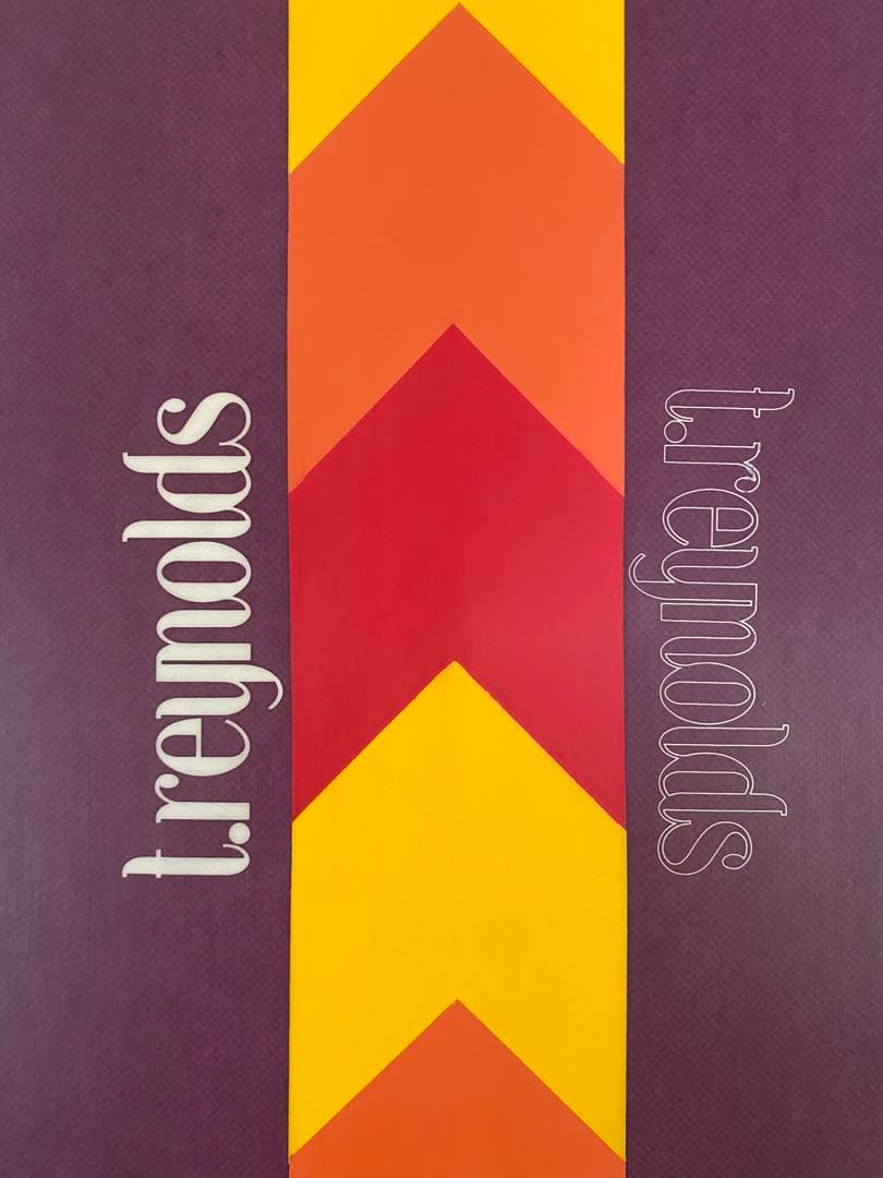 メル　トラヴィスレイノルズ　サーフボード　VISSLA ミッドレングス