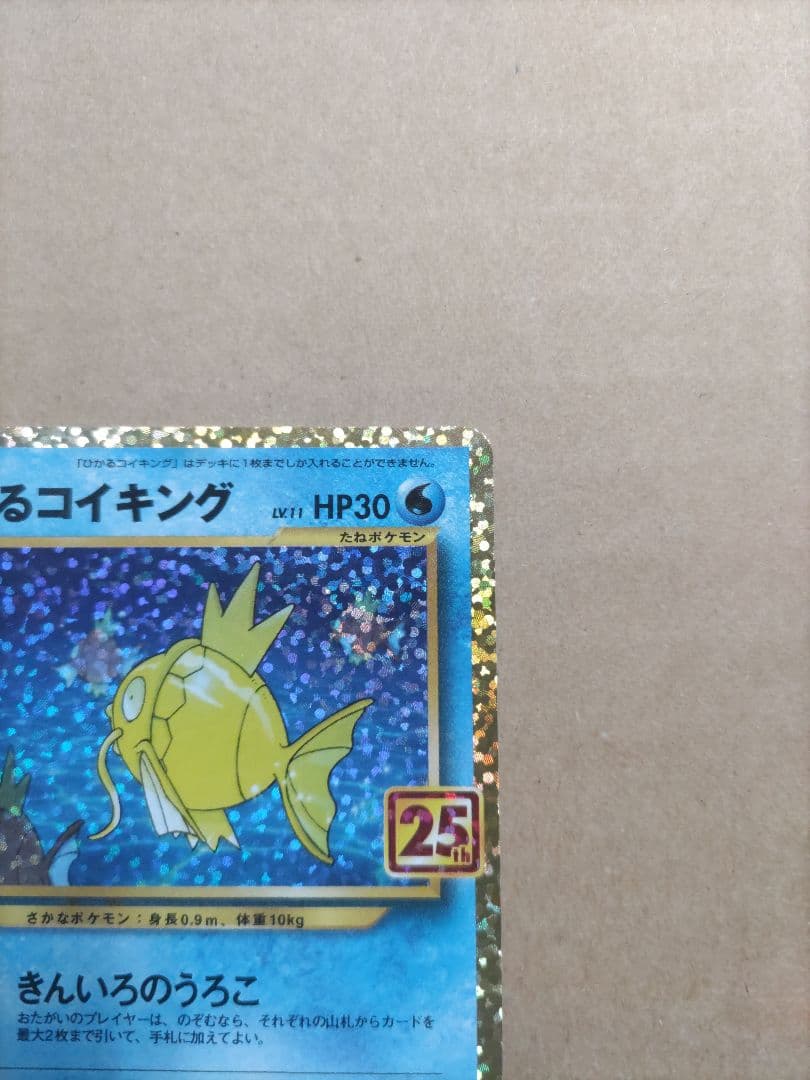 ひかるコイキング　25th