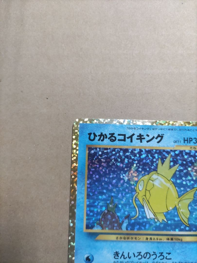 ひかるコイキング　25th