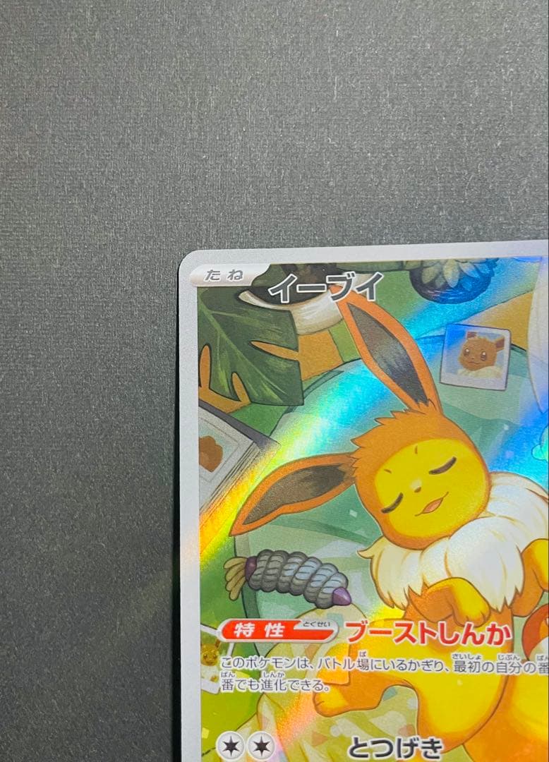 イーブイ AR仕様（755/742）