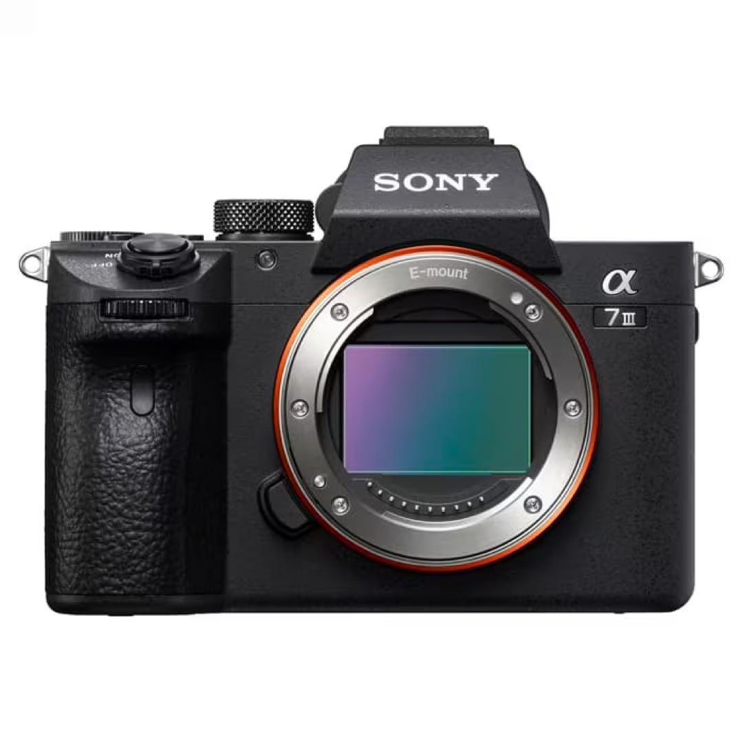 SONY α7Ⅲ ILCE-7M3 smallrigケージ　純正縦グリップ付き