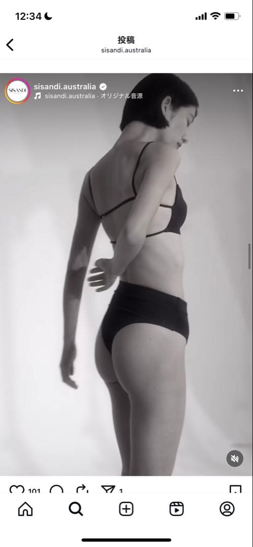 SISANDI ブラウン セパレート水着