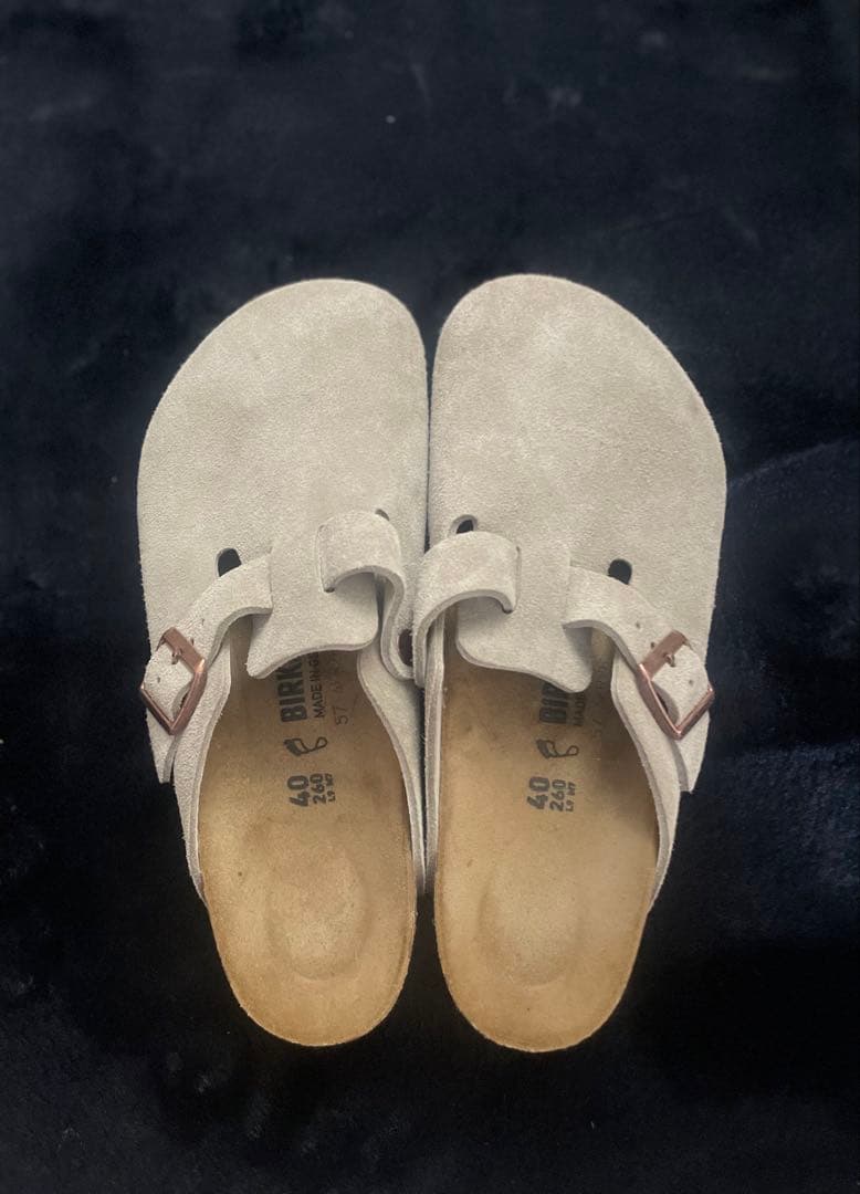 ボストン スエード レギュラー