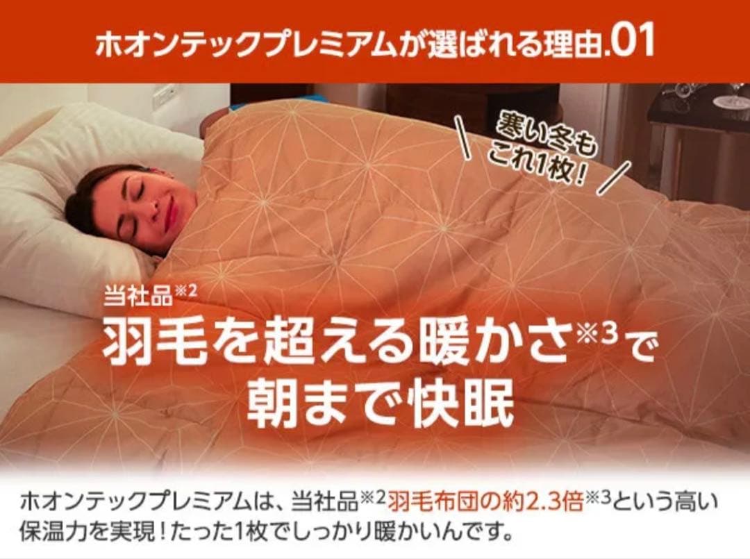 True Sleeper ホオンテック掛け布団　シングル