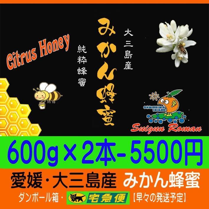 【KAZU】SUIGUN マドンナ6Kg+蜂蜜２本　同梱発送