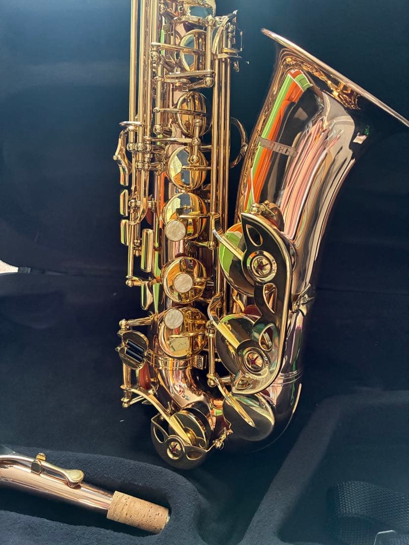 PLAYTECH PTAS-350 アルトサックスローズブラス +α