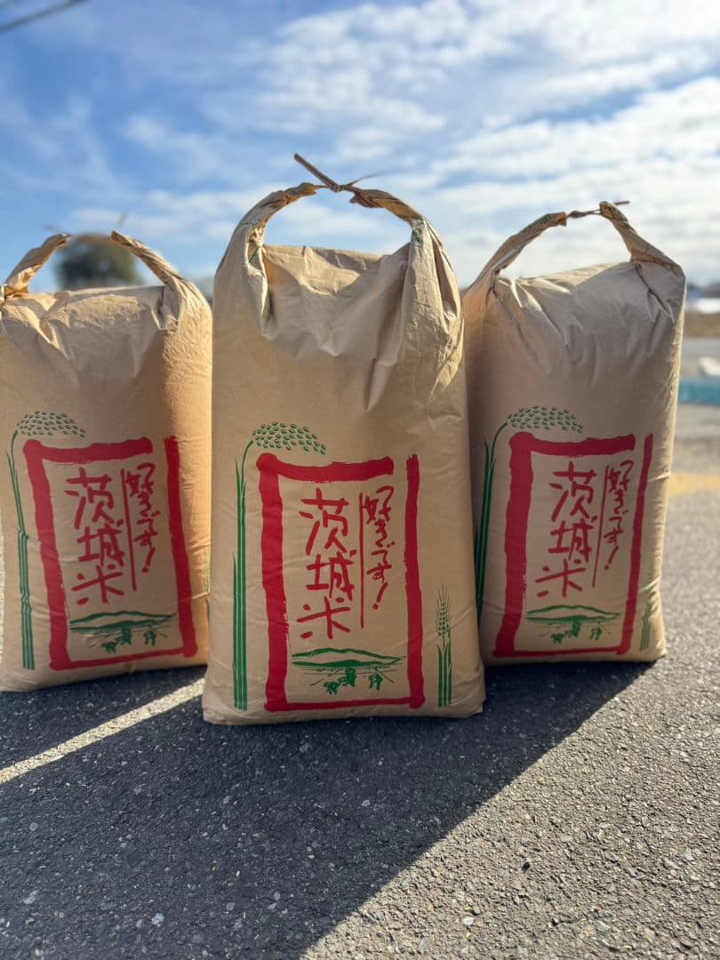 限定　最安値　玄米　100kg　30kg米袋に3袋（100kg詰め）　お米