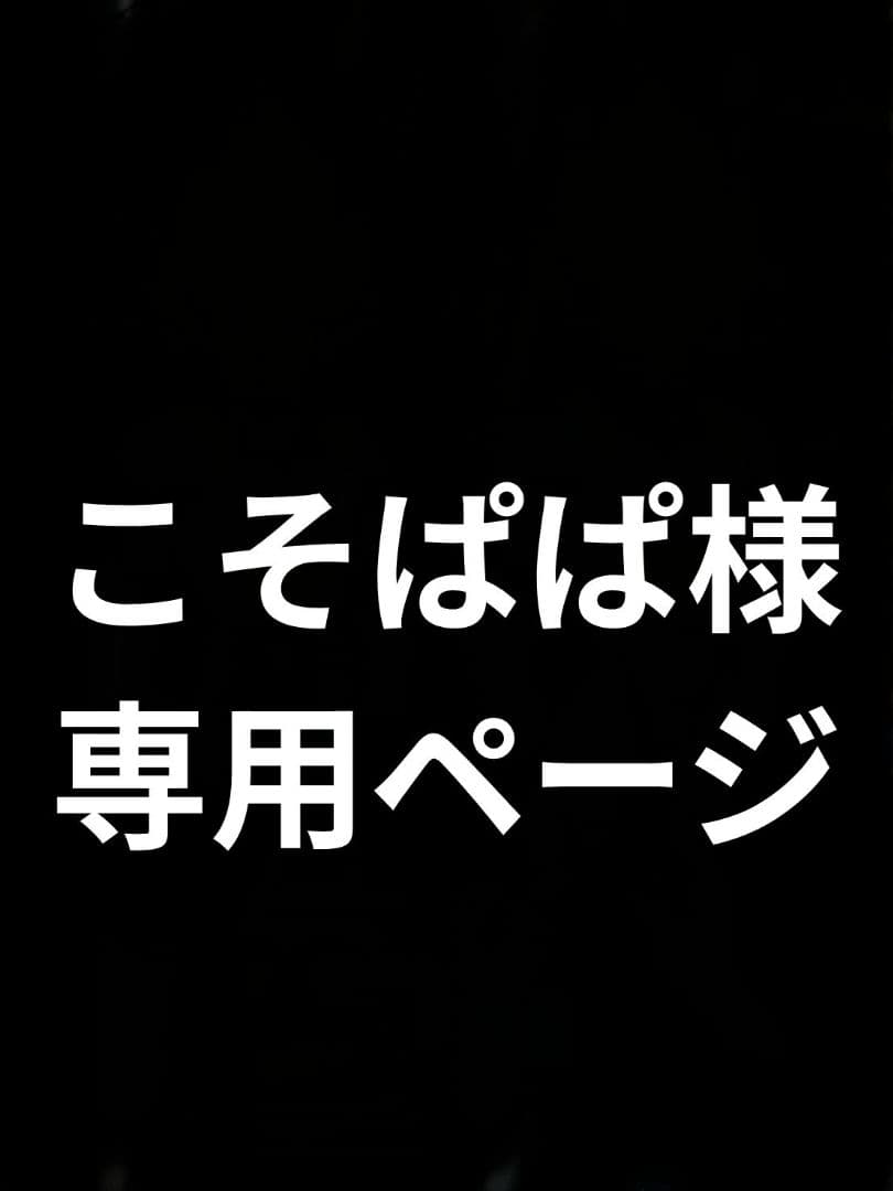 ドラゴンボール ガレージキット 悟空ベジータ 専用