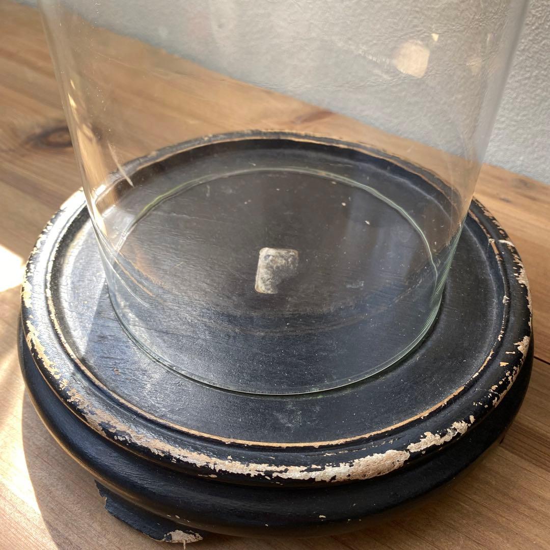 フランス　ベルギー　ガラスドーム　展示ケース　アンティーク　古道具　木　黒