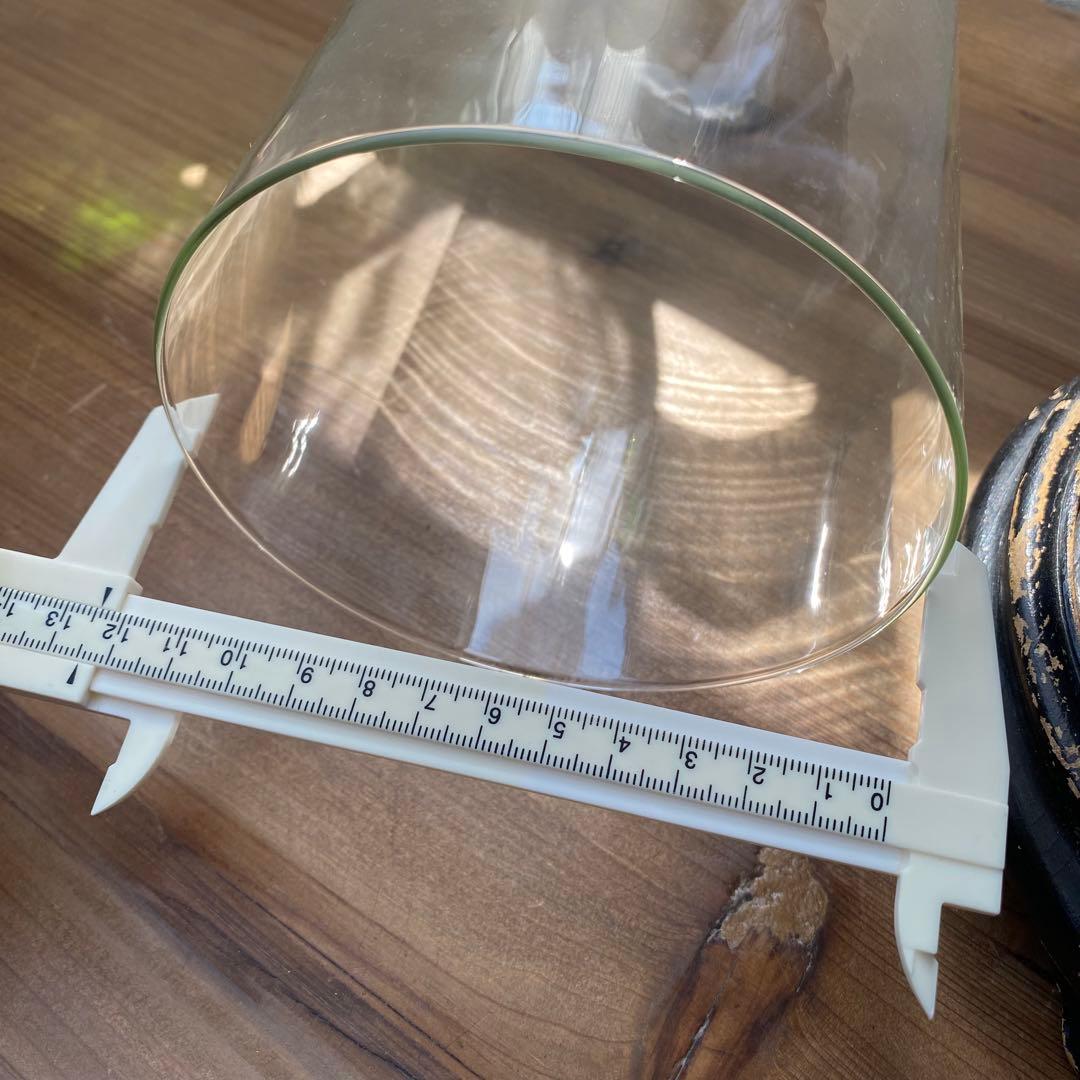 フランス　ベルギー　ガラスドーム　展示ケース　アンティーク　古道具　木　黒