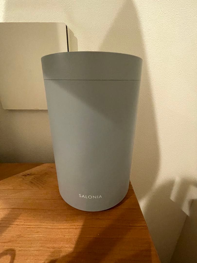 箱付属品付 美品 SALONIA ピュア ブライト スチーマー