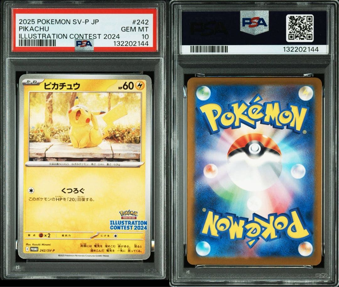 PSA 10 ピカチュウ SV-P 242プロモイラストレーション2024