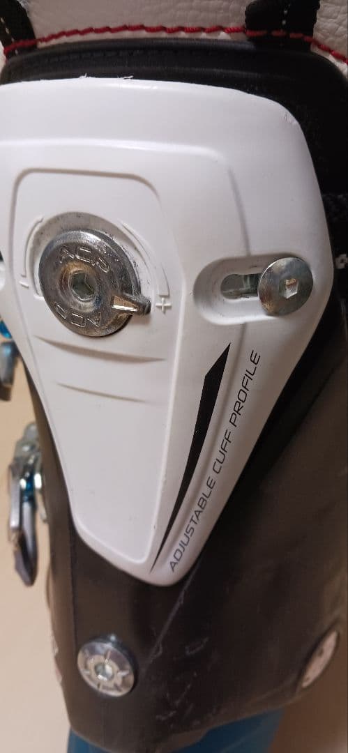 Nordica スキー ブーツ 青