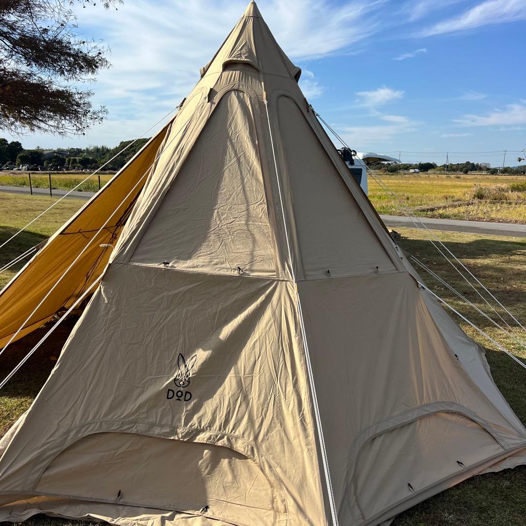 DoD レンコンテント2M タン