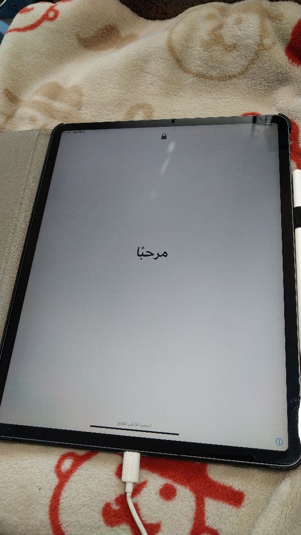 ipad pro au　wi-fi+cellular 256GB A1895