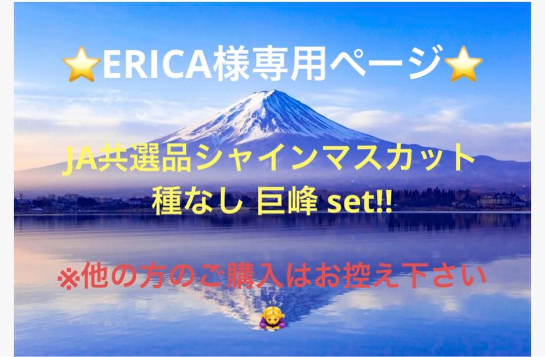 ERICA⭐️JA共選品シャインマスカット 種なし巨峰セット