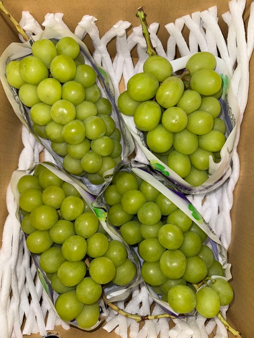 ERICA⭐️JA共選品シャインマスカット 種なし巨峰セット