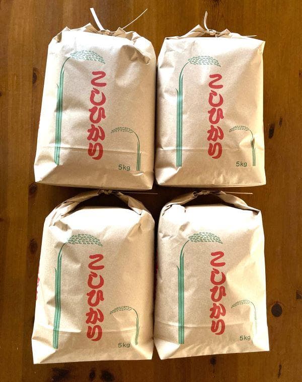 農家保有米 令和7年産 20キロ 玄米 コシヒカリ 20kg(5kg×4) 新米