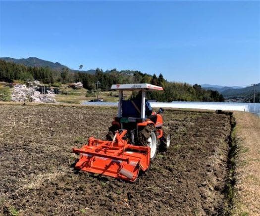 農家保有米 令和7年産 20キロ 玄米 コシヒカリ 20kg(5kg×4) 新米