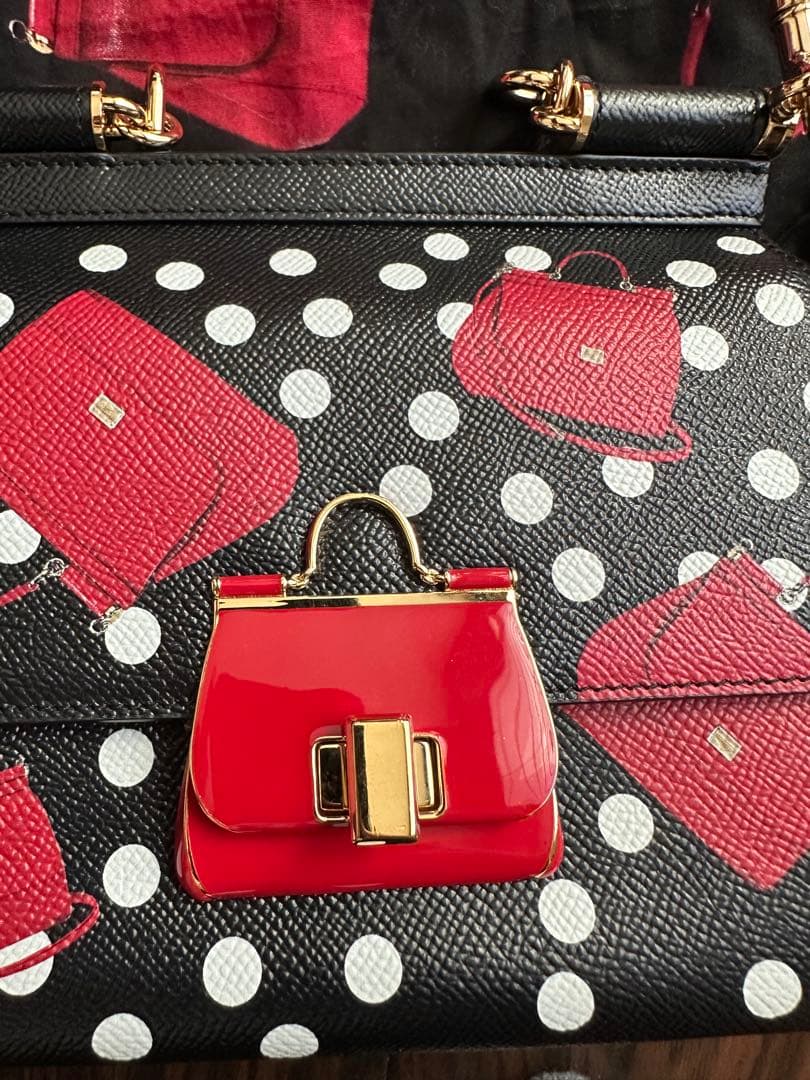 専用！ドルチェ&ガッパーナ　ドルガバ　ドット　バック