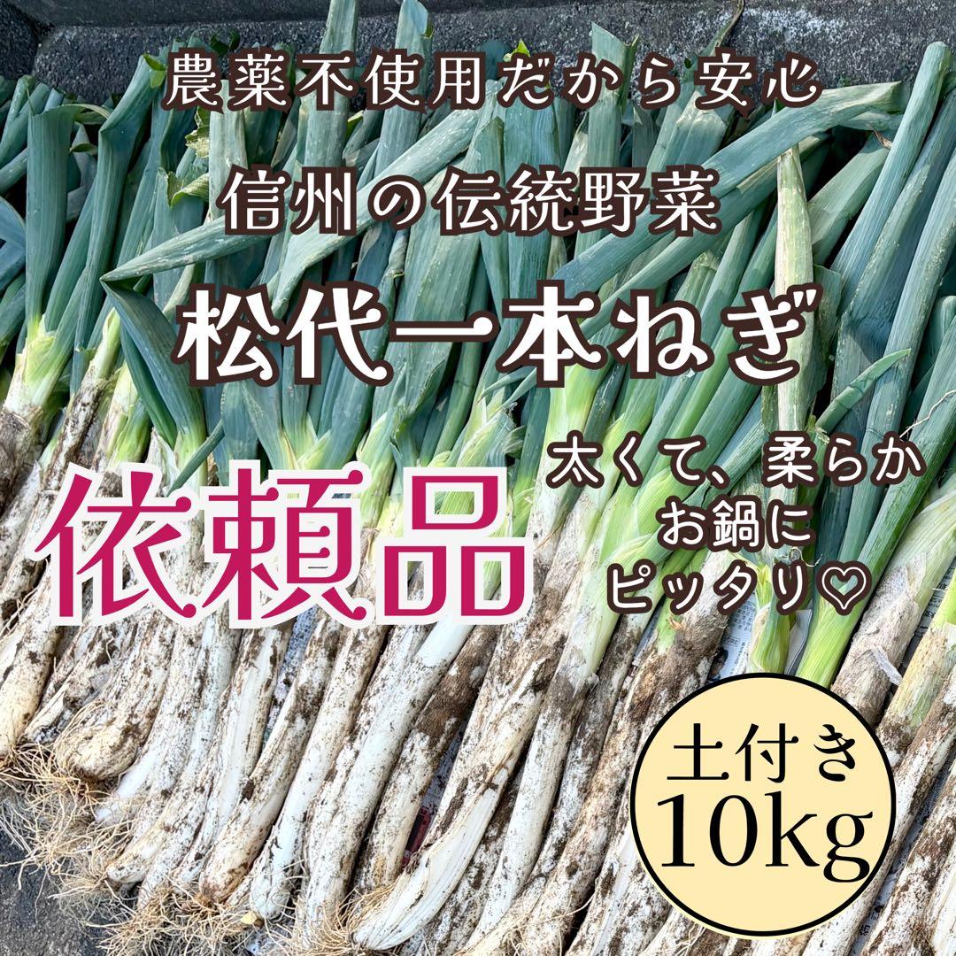 寒さで甘みが増しました！ 信州の伝統野菜「松代一本ねぎ」土つき・泥つき10kg