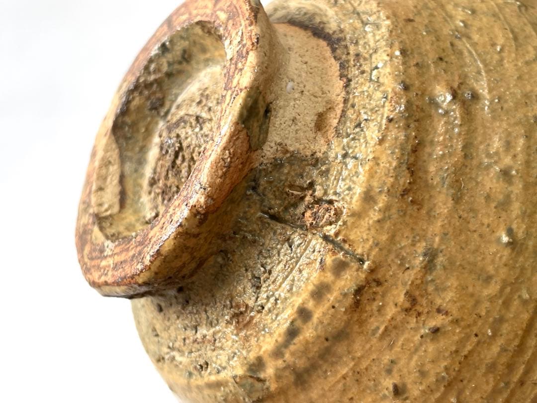 陶芸家　作家物　森田無想　伊羅保　茶碗　黄伊羅保　抹茶碗　共箱　森田十雨