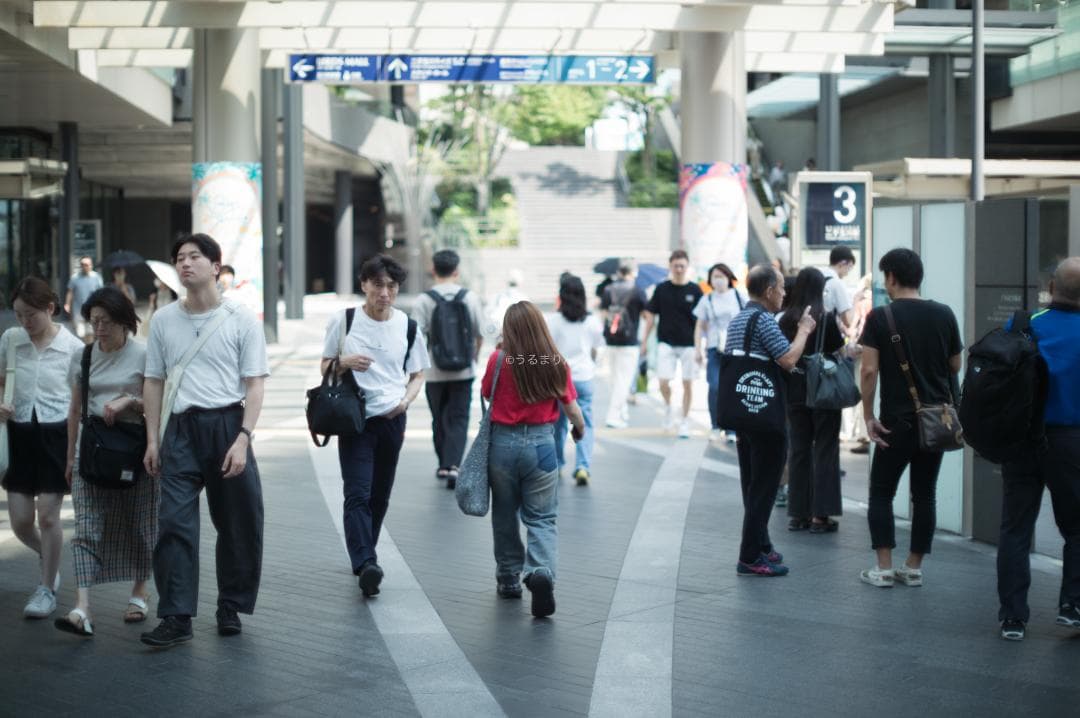 F1.2の壁！Nikkor-SC Auto 55mm F1.2 オールドレンズ