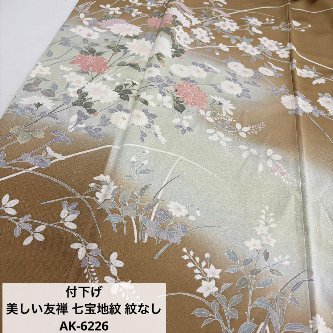 付下げ 美しい友禅 七宝地紋 紋なし 正絹AK-6226