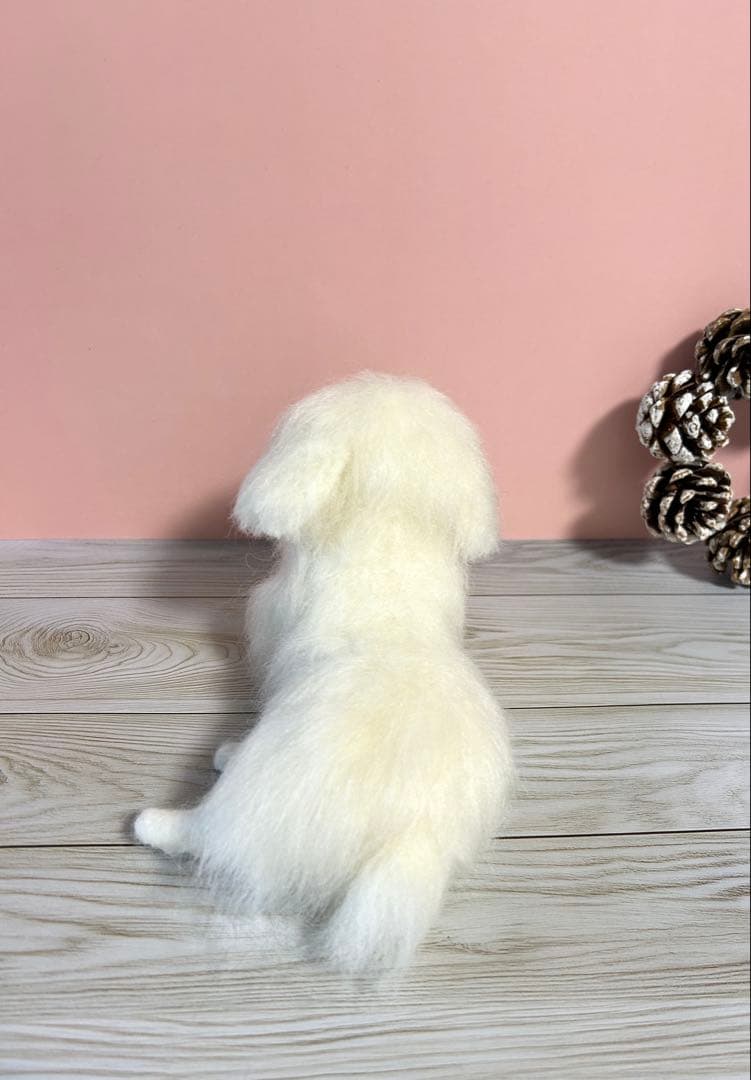 羊毛フェルト　リラックスマルチーズちゃん　12